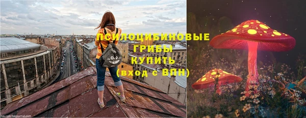метадон Алексеевка